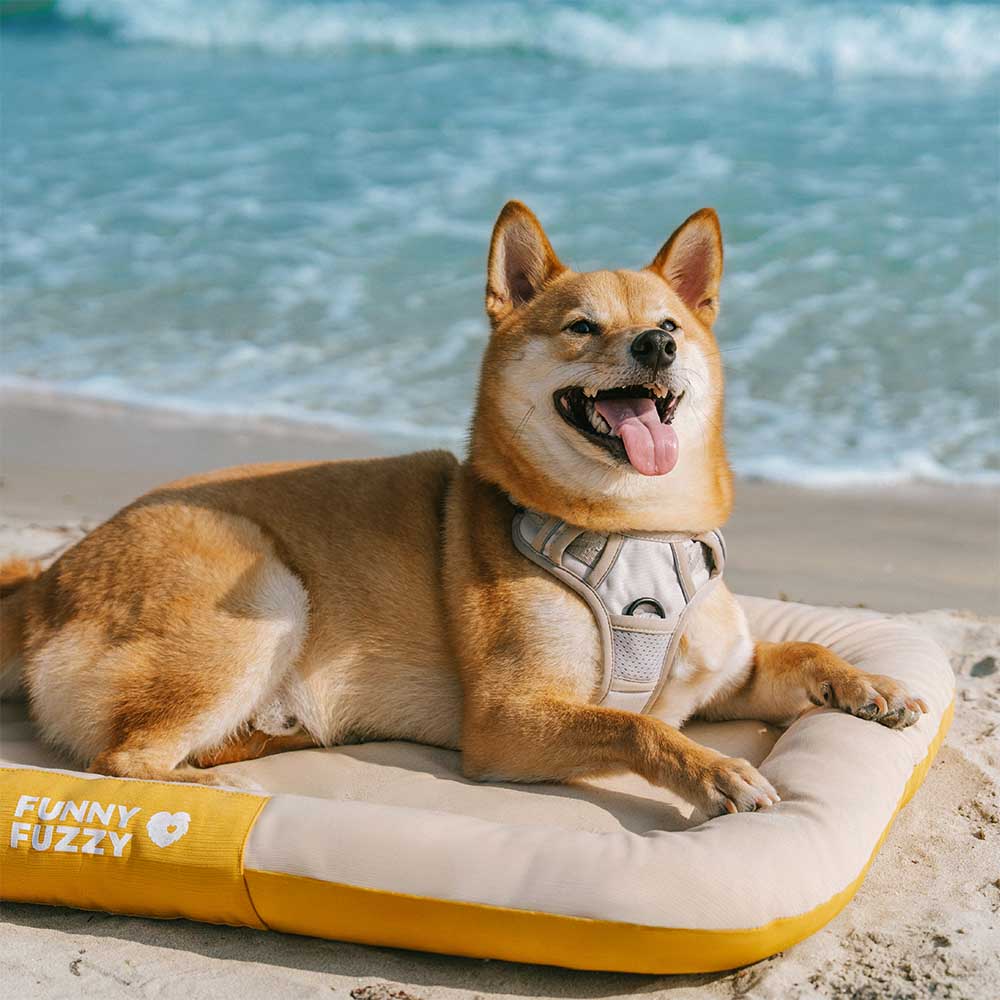 Outdoor Waterproof & Chew-proof Memory Foam Orthop