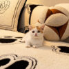 Paw Print Soft Polar Fleece Sofa Protector Non-sli