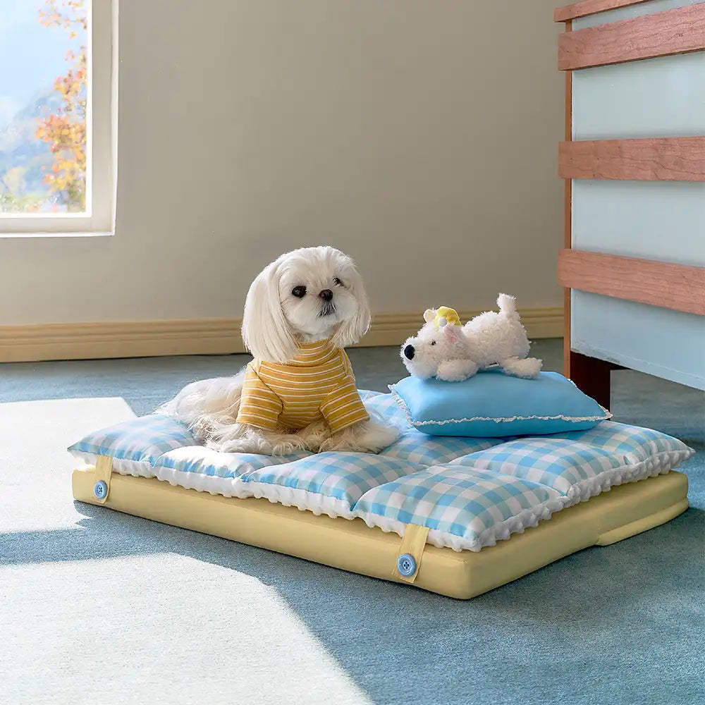 Play And Rest All-In-One Double-Layer Comfortable