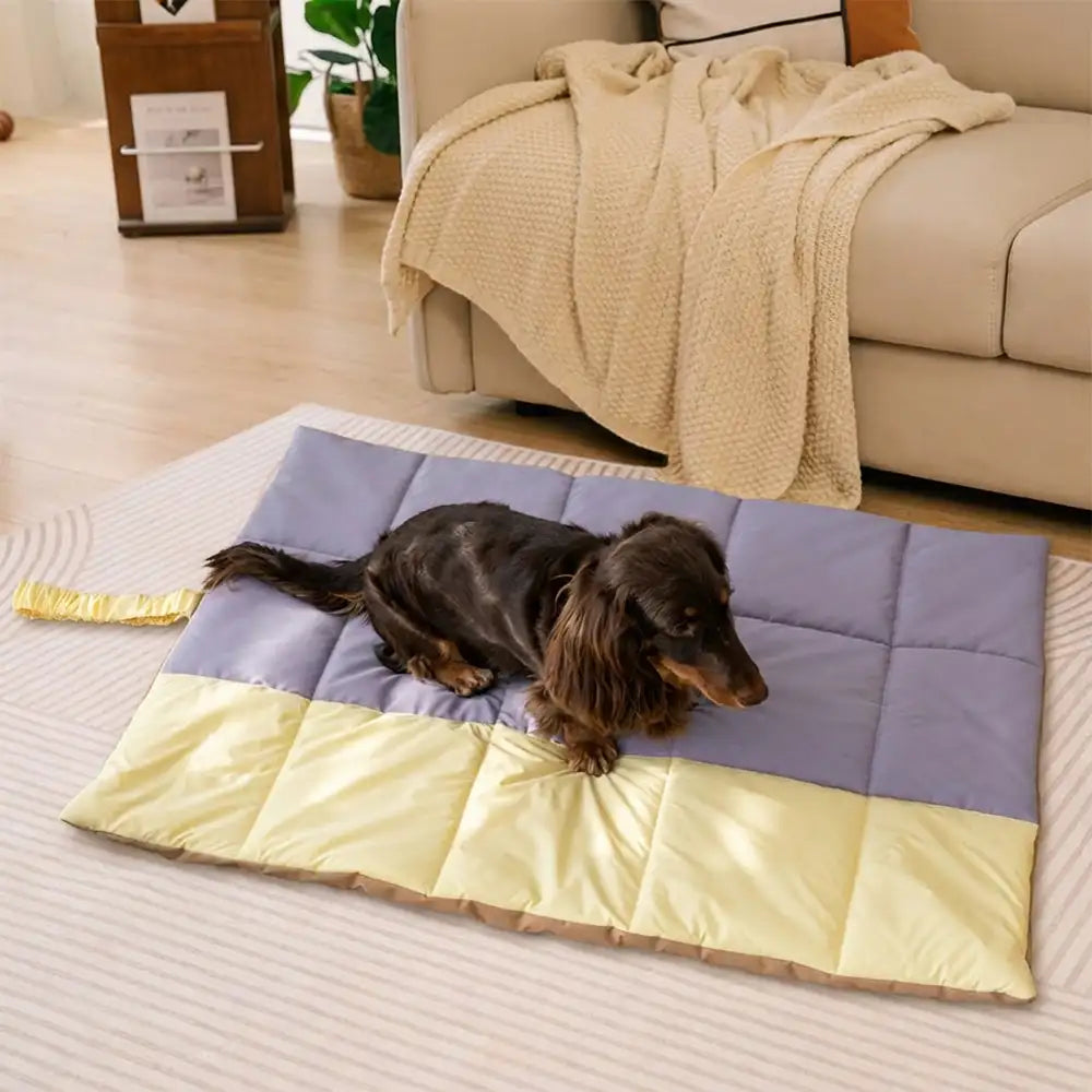 Portable Foldable Double-Sided Water-Repellent Dog
