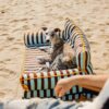 Stripe Waterproof Foldable Large Dog Sofa Bed - Su