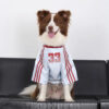 Striped Retro Reflective Dog T-Shirt for All Breed