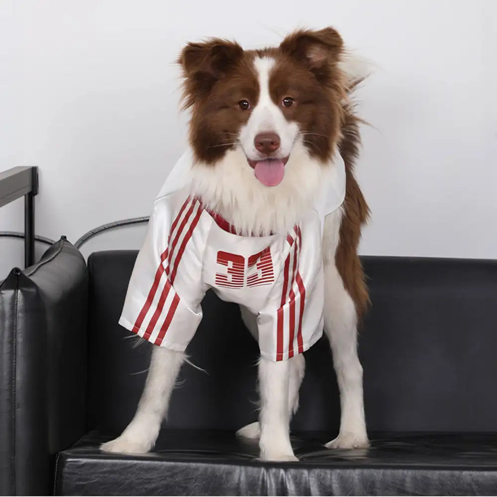 Striped Retro Reflective Dog T-Shirt for All Breed