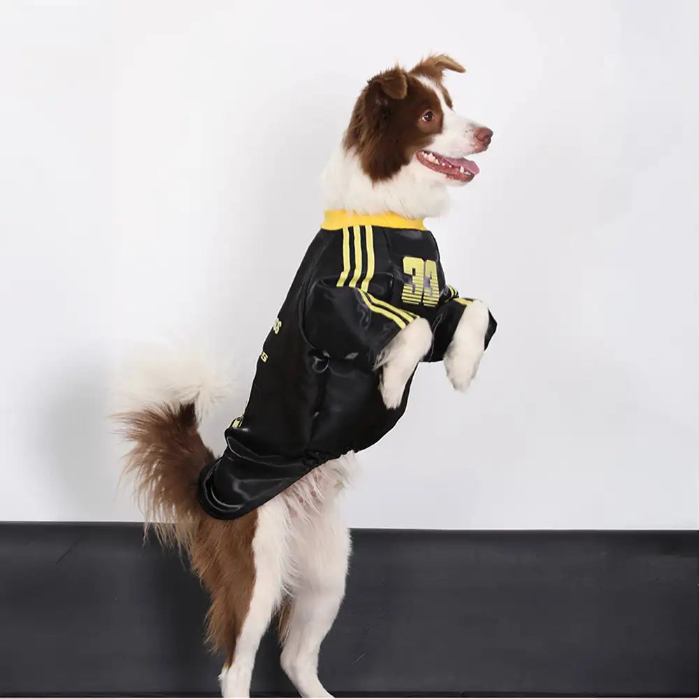 Striped Retro Reflective Dog T-Shirt for All Breed