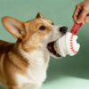 Teething & Play Elastic Interactive Dog Chew Toy