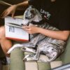 Travel Bolster Safety Back Seat Large Dog Car Seat