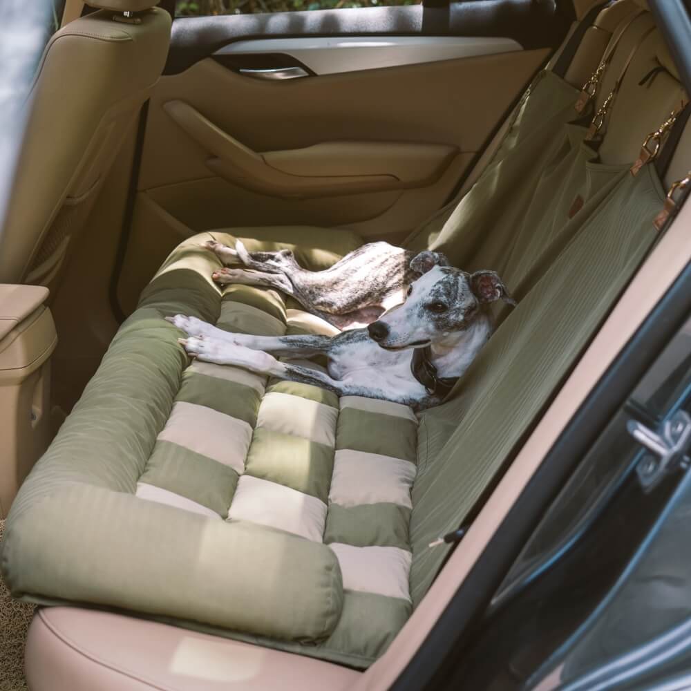 Travel Bolster Safety Back Seat Large Dog Car Seat