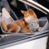 Travel Safety Seat Thickened Elevated Dog Car Seat