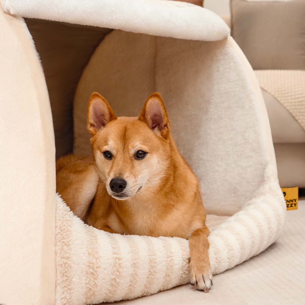Trendy Striped House Orthopedic Dog Bed - Cozy Hid