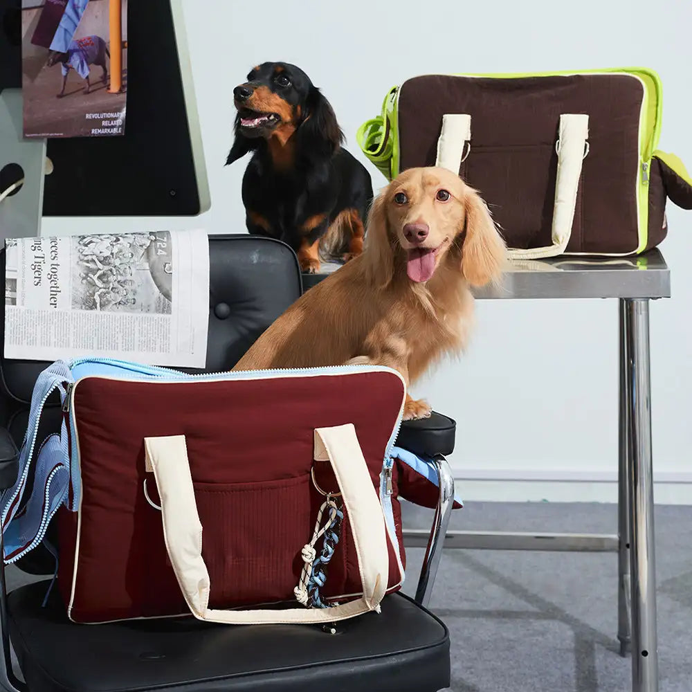 Urban Commuter Color-Block Multi-functional Pet Ca
