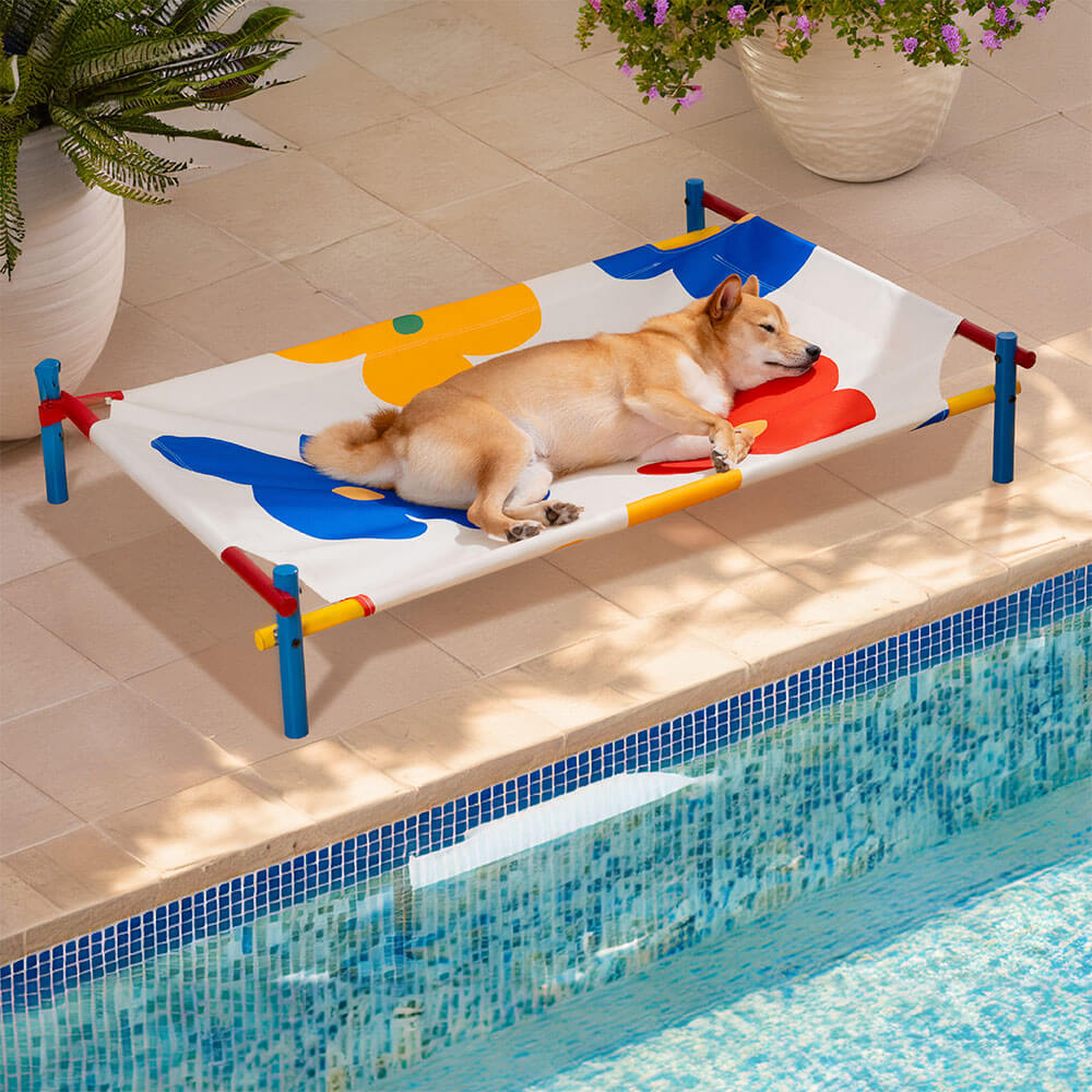Vibrant Summer Print Style Aluminum Elevated Dog B