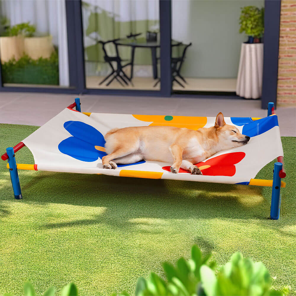 Vibrant Summer Print Style Aluminum Elevated Dog B