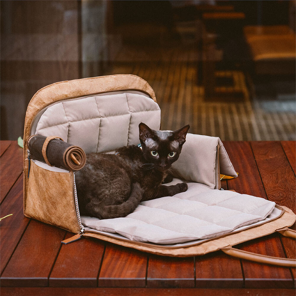 Vogue Eco-friendly Multi-functional Cat Carrier -