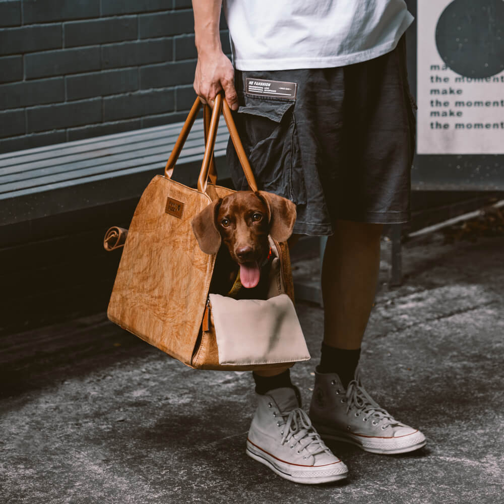 Vogue Eco-friendly Multi-functional Pet Travel Bag