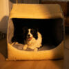 Warm Flannel Detachable Semi-Enclosed Large Dog Te