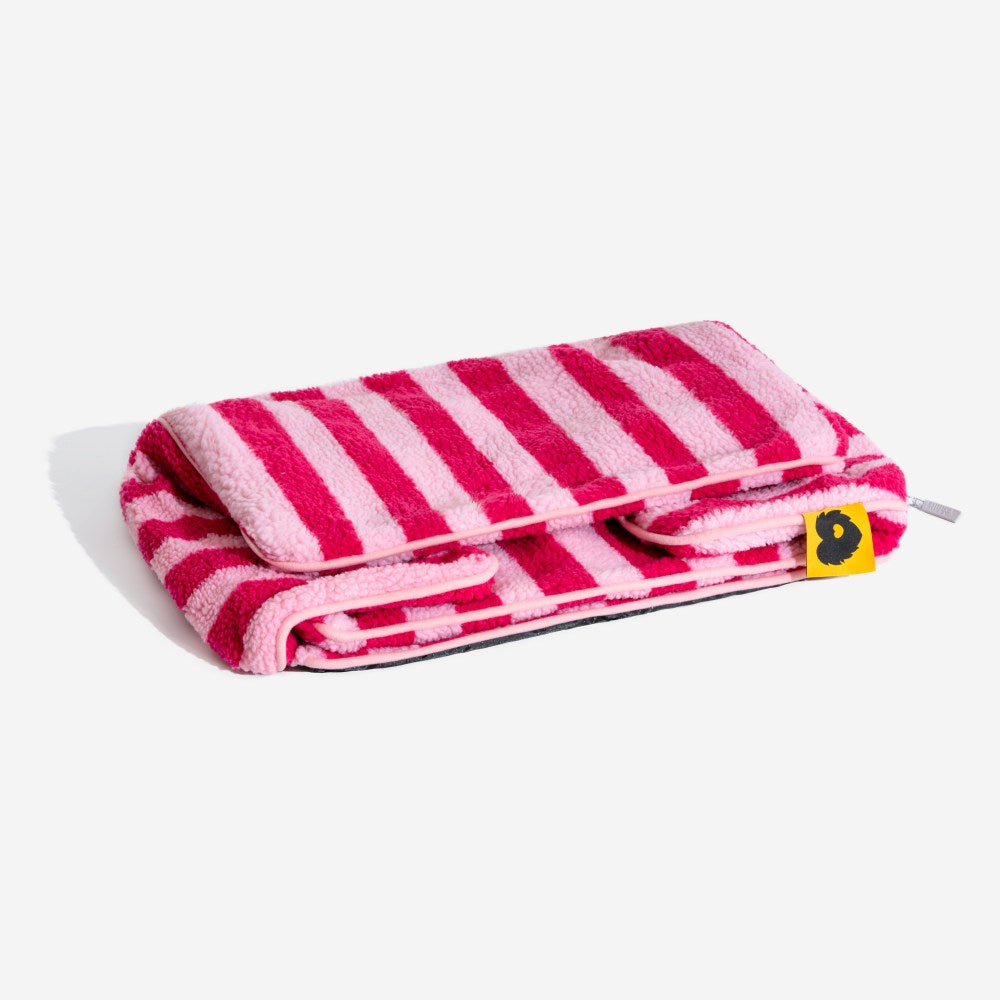 Trendy Striped Faux Lambswool Double Layer Dog & C