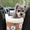 Flower Wool Fleece Dog Car Safety Seat Central Con