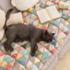 Garden Chic Cotton Pet Friendly Protective Couch C