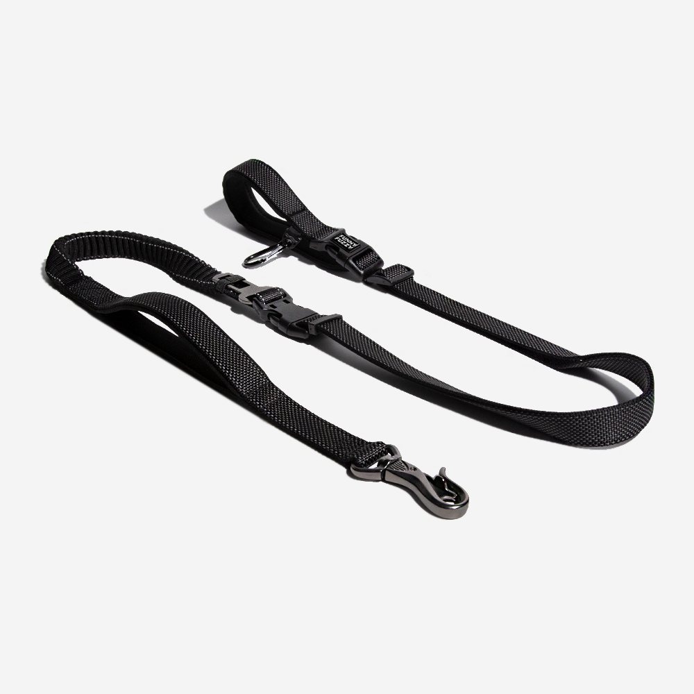 Multifunction Hands Free Dog Leash With Safety Sea