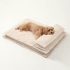 Anti-Anxiety with Sponge Support Deep Sleeping Dog
