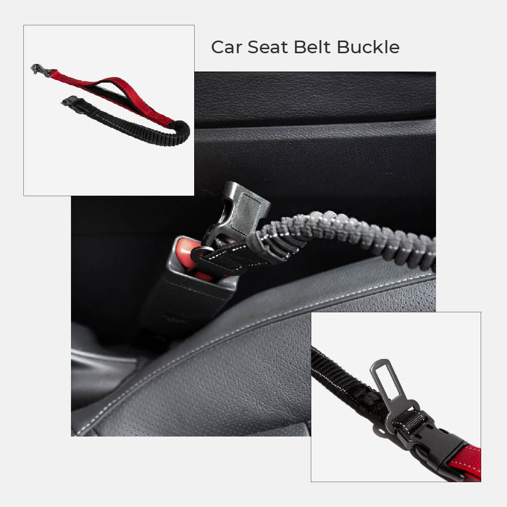Multifunction Hands Free Dog Leash With Safety Sea