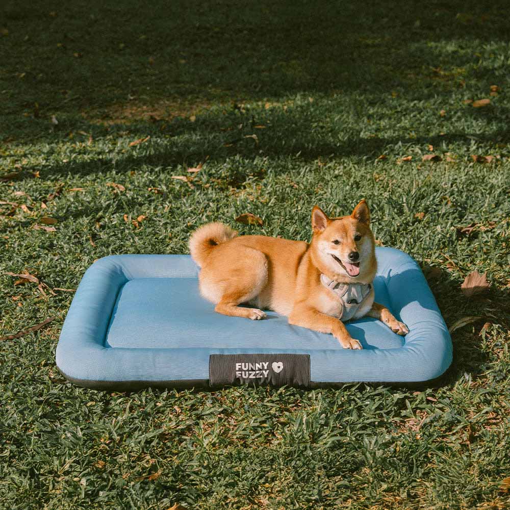 Outdoor Waterproof & Chew-proof Memory Foam Orthop